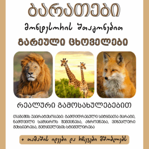 მეტყველების ბარათები "გარეული ცხოველები " - "montessori.takoforkids"