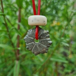 533657713_122132905352878551_8844319853363867612_n