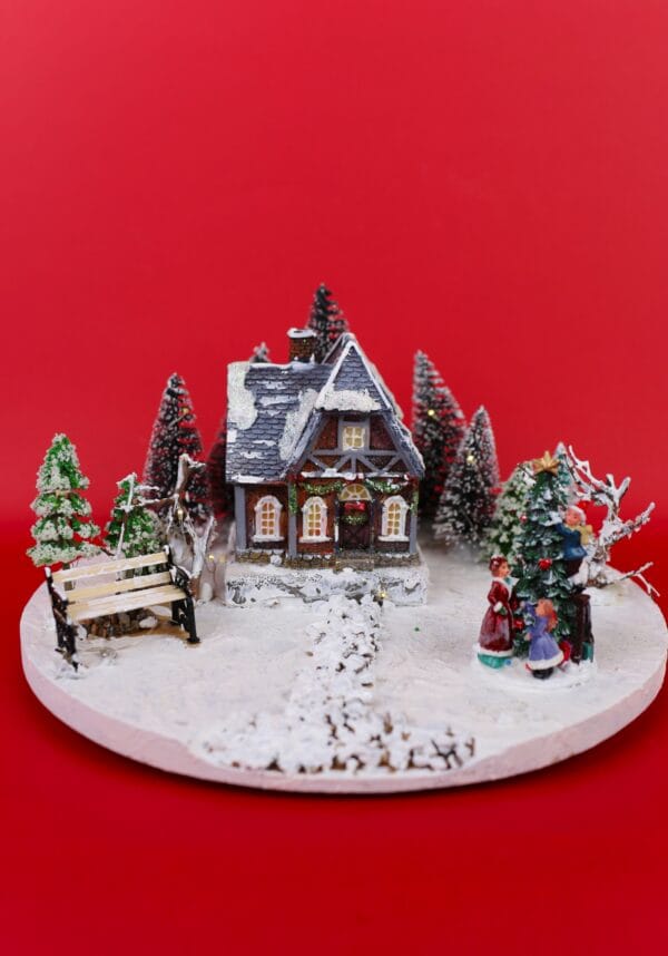 საახალწლო დეკორაცია განათებით - ლანა ბენდუქიძე