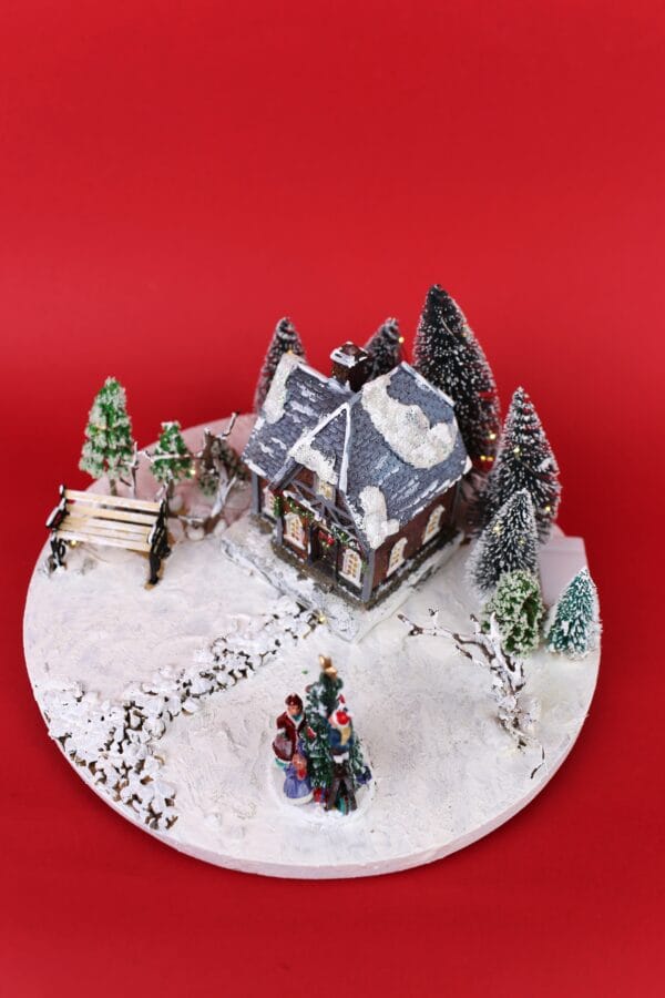 საახალწლო დეკორაცია განათებით - ლანა ბენდუქიძე