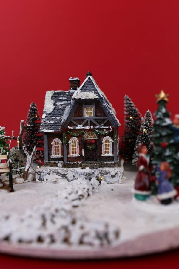 საახალწლო დეკორაცია განათებით - ლანა ბენდუქიძე