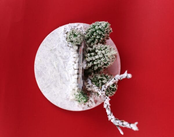 საახალწლო დეკორაცია განათებით - ლანა ბენდუქიძე