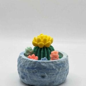 სანთელი კაქტუსით თაბაშირში - "ანანკე• Ananke"