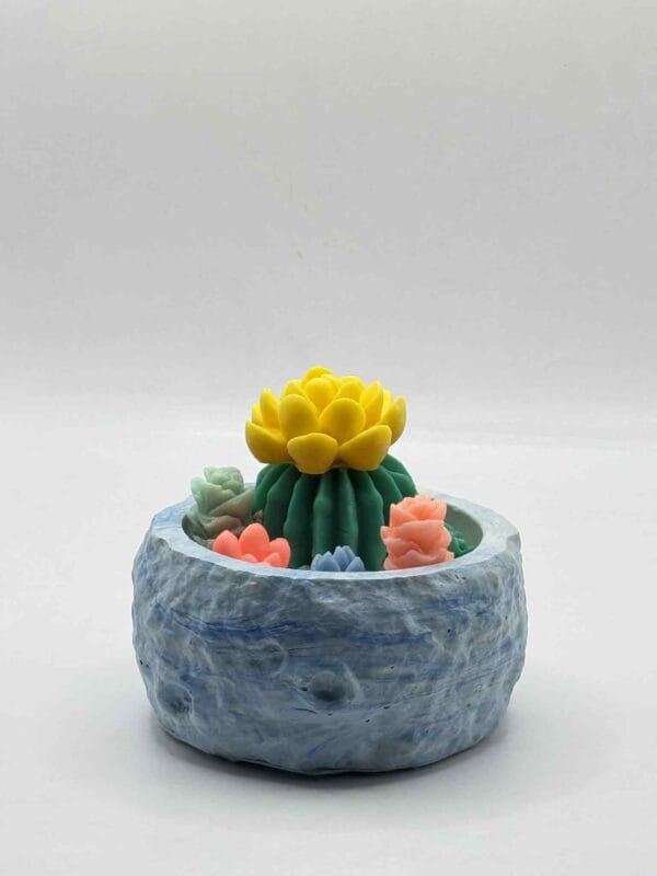 სანთელი კაქტუსით თაბაშირში - "ანანკე• Ananke"