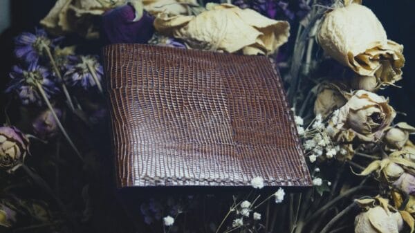 ტყავის საფულე, ყავისფერი - "SOI • სოი"