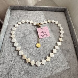 86cdb117-bbbd-4b1d-8d38-06d3aeacd9a4