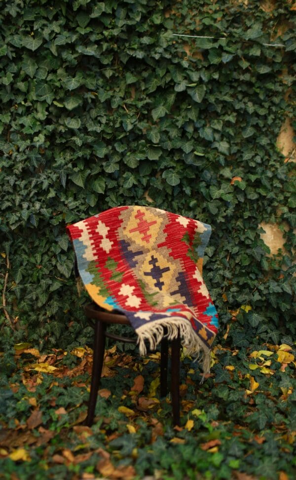 ფარდაგი, შალი - "ჯეჯიმი"