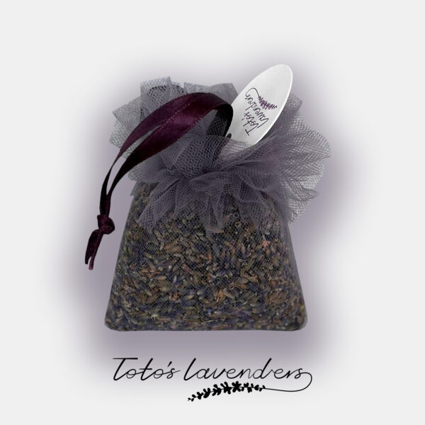 ლავანდის საშე, ნაცრისფერი - "ტოტოს ლავანდები • Toto's Lavenders"
