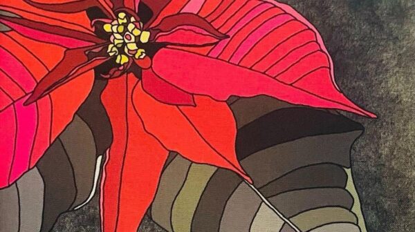 სუფრა, "შობის ყვავილი" - "ბამბა • Bamba"