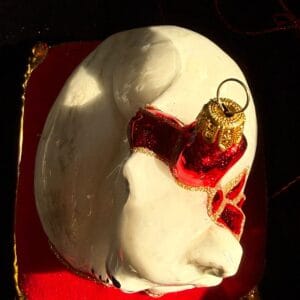 WhatsApp Image 2025-11-14 at 12.21.47