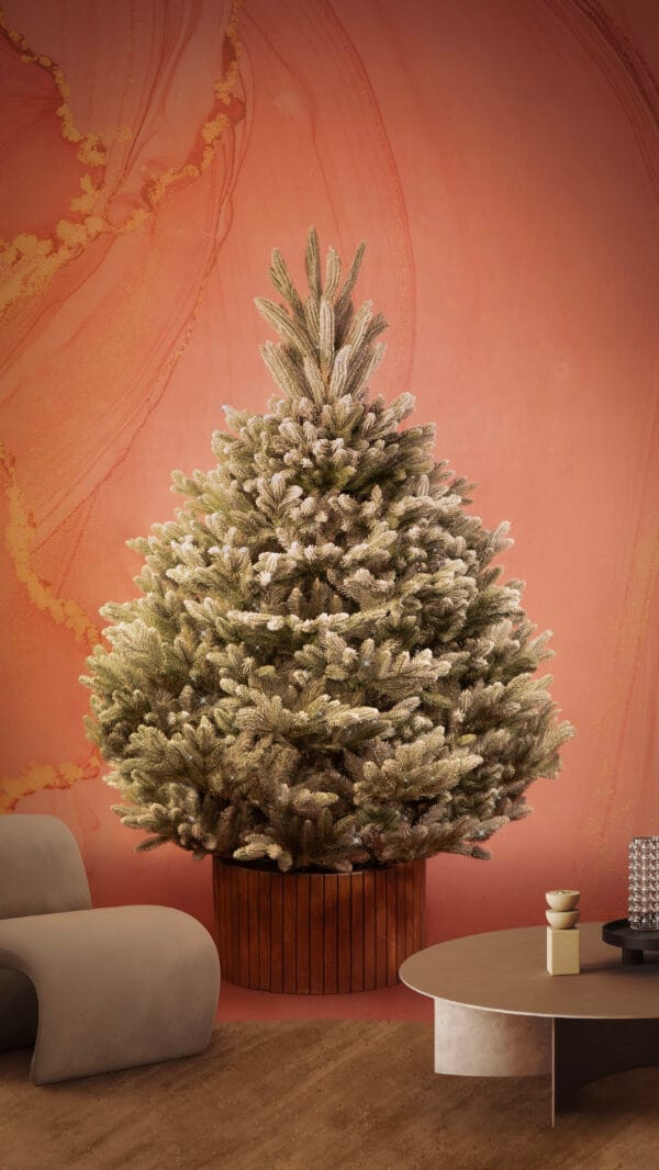 ნაძვის ხე, "აქატე კრისტალი" 180სმ - "Winter Time • ვინთერ თაიმი"