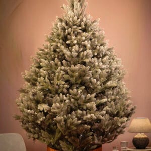 ნაძვის ხე, "აქატე კრისტალი" 220სმ - "Winter Time • ვინთერ თაიმი"