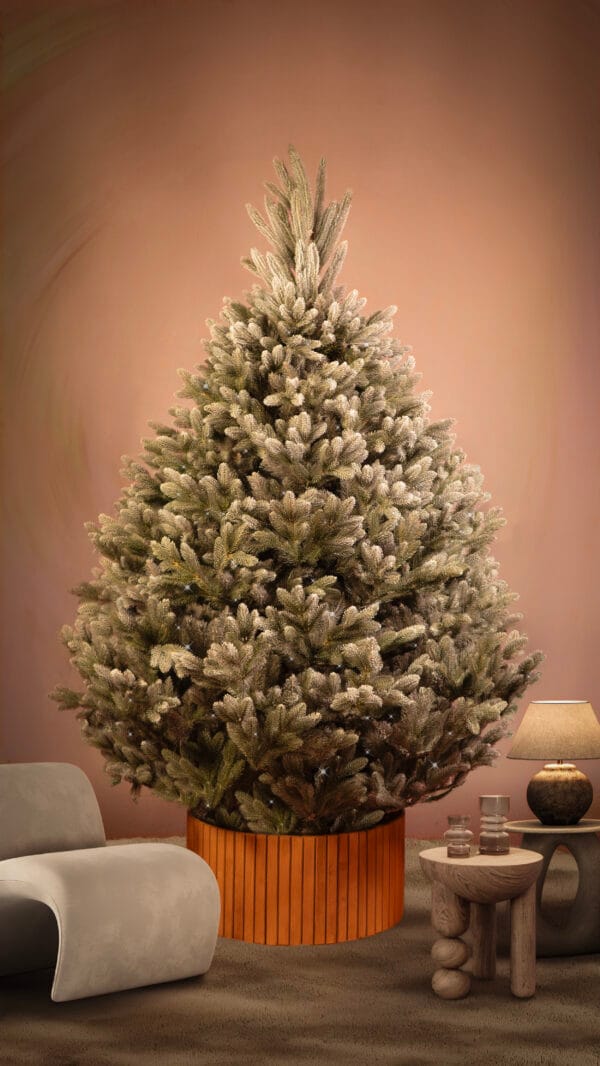 ნაძვის ხე, "აქატე კრისტალი" 220სმ - "Winter Time • ვინთერ თაიმი"