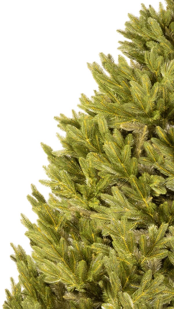 ნაძვის ხე "აქატე" 250სმ - "Winter Time • ვინთერ თაიმი"