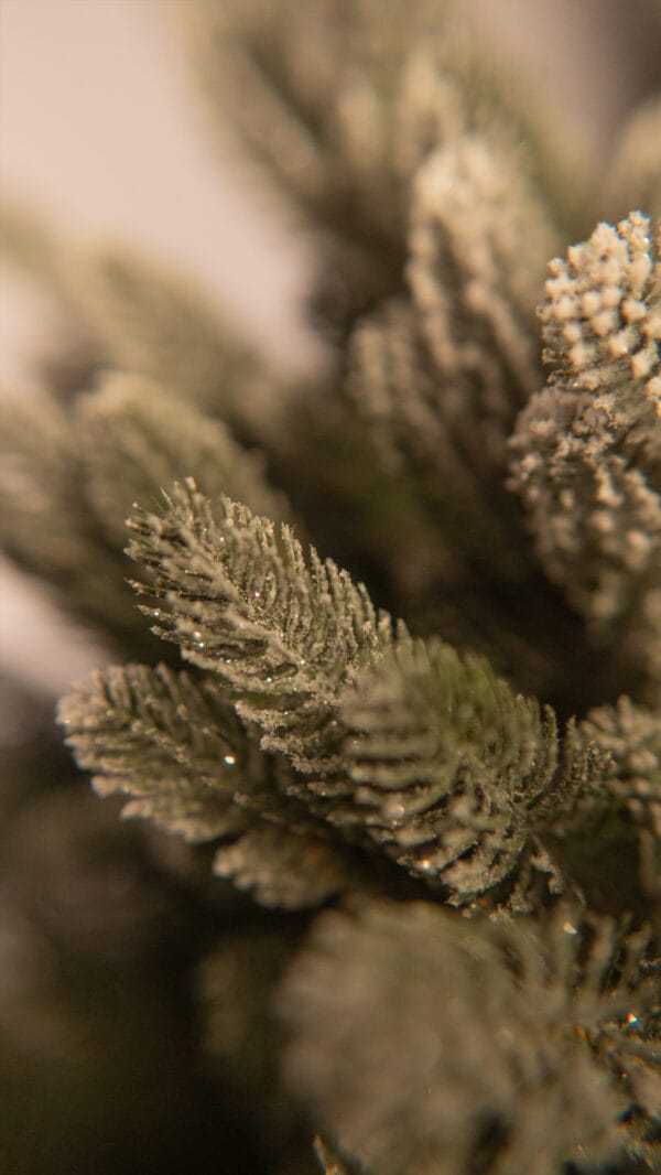 ნაძვის ხე, "აქატე კრისტალი" 220სმ - "Winter Time • ვინთერ თაიმი"