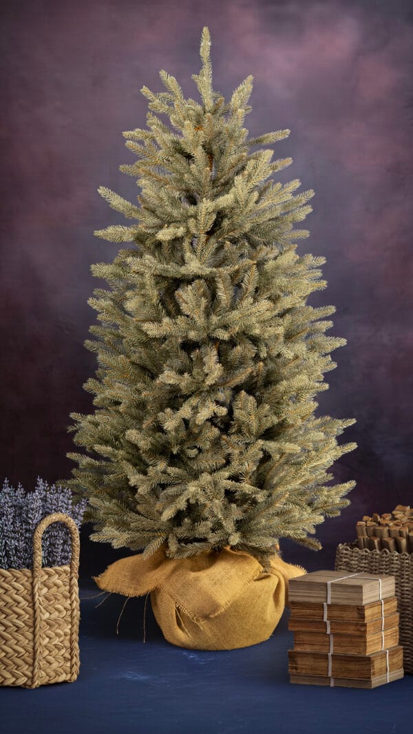 ნაძვის ხე "კდემა" 150სმ + ქოთანი SNAPTREE - "Winter Time • ვინთერ თაიმი"