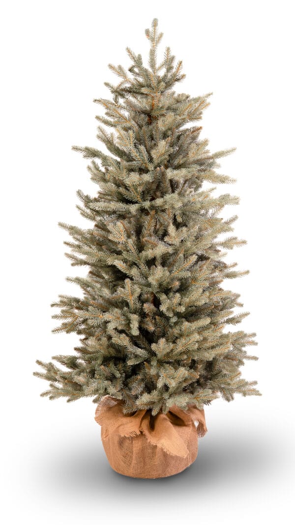 ნაძვის ხე "კდემა" 150სმ + ქოთანი SNAPTREE - "Winter Time • ვინთერ თაიმი"