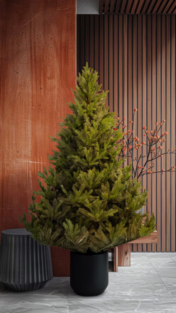 ნაძვის ხე "მიმდემი", 220სმ - "Winter Time • ვინთერ თაიმი"