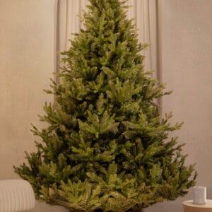 ნაძვის ხე "მიმდემი", 250სმ - "Winter Time • ვინთერ თაიმი"