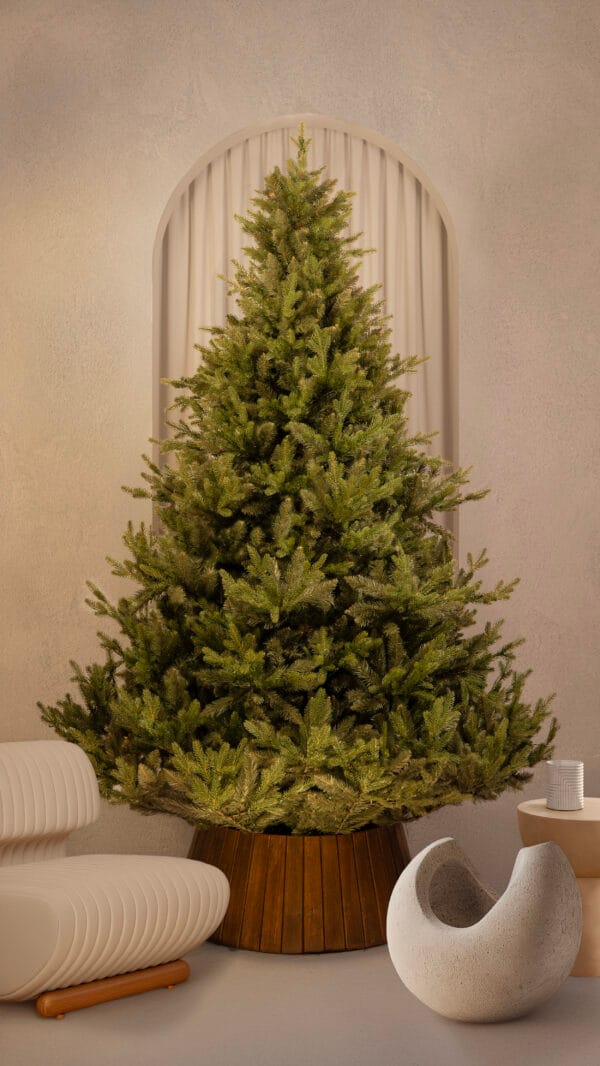 ნაძვის ხე "მიმდემი", 250სმ - "Winter Time • ვინთერ თაიმი"