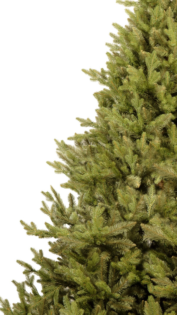 ნაძვის ხე "მიმდემი", 250სმ - "Winter Time • ვინთერ თაიმი"