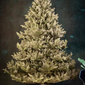 ნაძვის ხე "მიმდემი კრისტალი", 250სმ - "Winter Time • ვინთერ თაიმი"