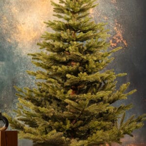 ნაძვის ხე "მალალი" 180სმ - "Winter Time • ვინთერ თაიმი"