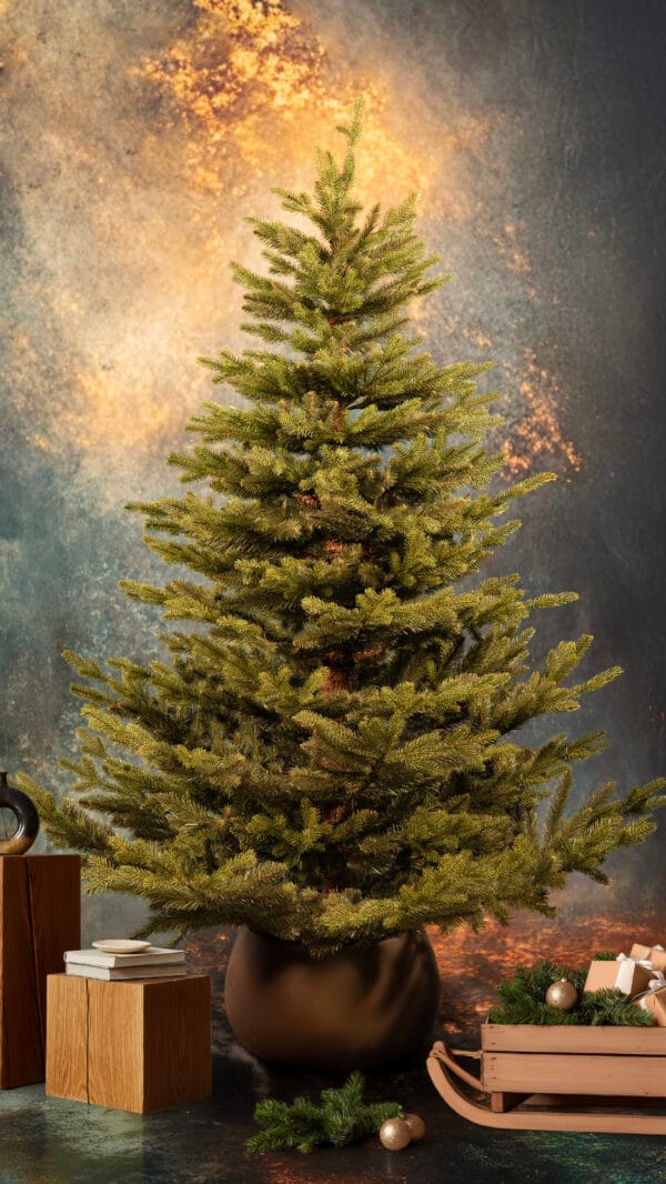 ნაძვის ხე "მალალი" 180სმ - "Winter Time • ვინთერ თაიმი"