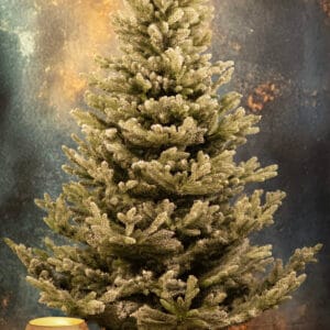 ნაძვის ხე "მალალი კრისტალი" 180სმ - "Winter Time • ვინთერ თაიმი"