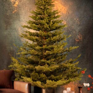 ნაძვის ხე "მალალი" 220სმ - "Winter Time • ვინთერ თაიმი"