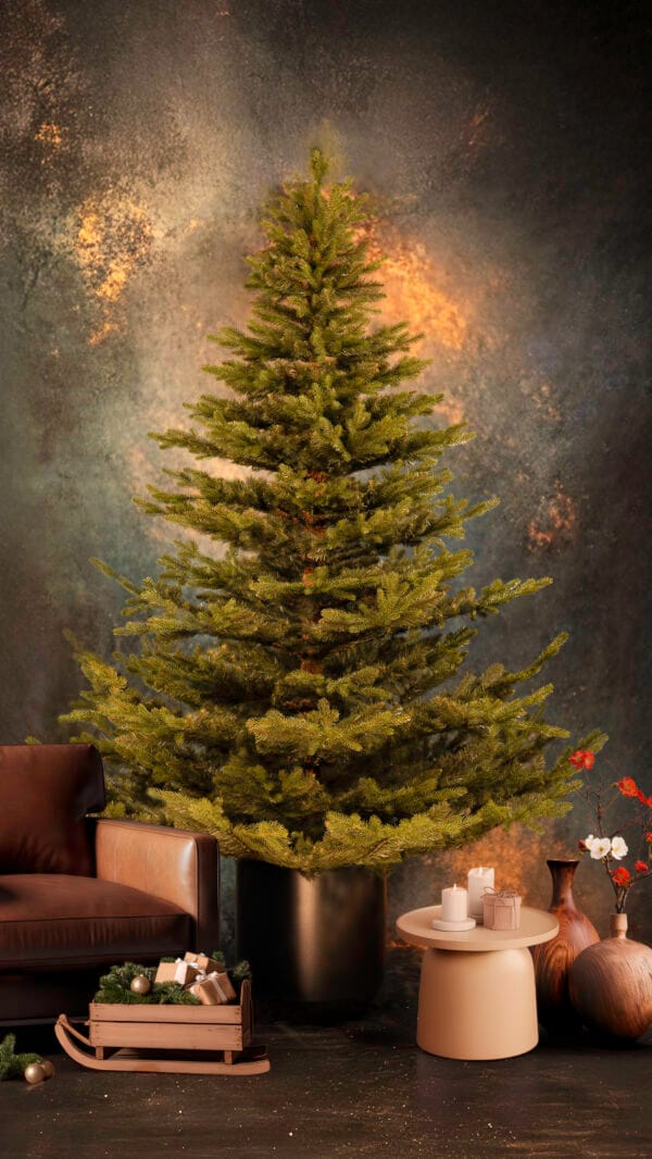 ნაძვის ხე "მალალი" 220სმ - "Winter Time • ვინთერ თაიმი"