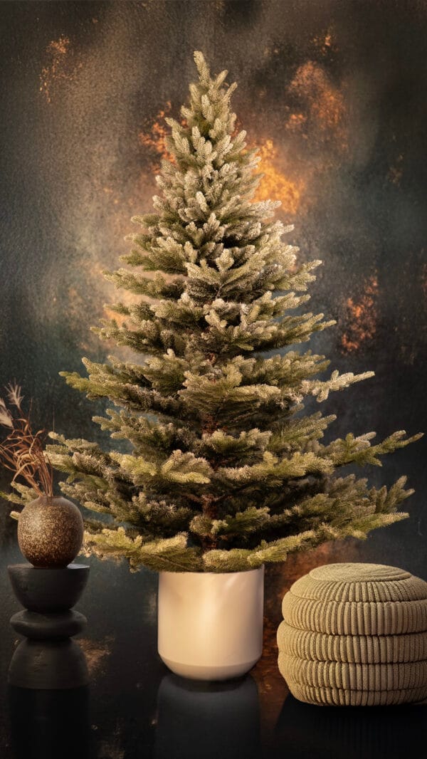 ნაძვის ხე "მალალი კრისტალი" 220სმ - "Winter Time • ვინთერ თაიმი"