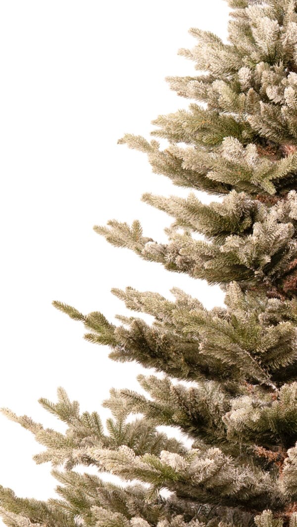 ნაძვის ხე "მალალი კრისტალი" 220სმ - "Winter Time • ვინთერ თაიმი"