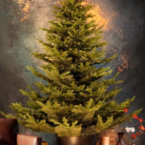 ნაძვის ხე "მალალი" 250სმ - "Winter Time • ვინთერ თაიმი"