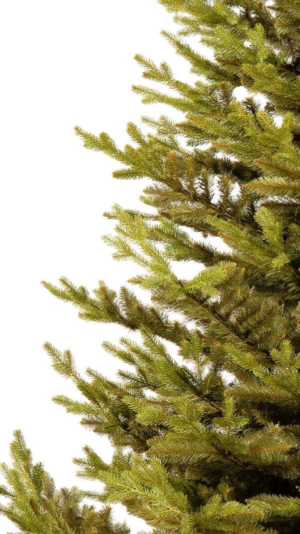 ნაძვის ხე "მალალი" 250სმ - "Winter Time • ვინთერ თაიმი"