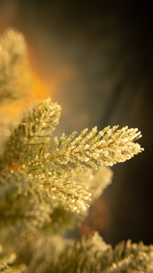 ნაძვის ხე "მალალი კრისტალი" 180სმ - "Winter Time • ვინთერ თაიმი"