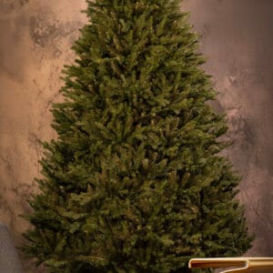 ნაძვის ხე "მარმენიო განიერი" 250სმ - "Winter Time • ვინთერ თაიმი"