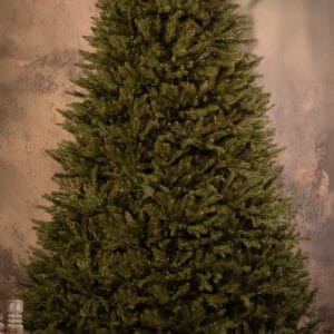 ნაძვის ხე "მარმენიო განიერი" 280სმ - "Winter Time • ვინთერ თაიმი"