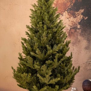 ნაძვის ხე "ნარნარი" 220სმ - "Winter Time • ვინთერ თაიმი"