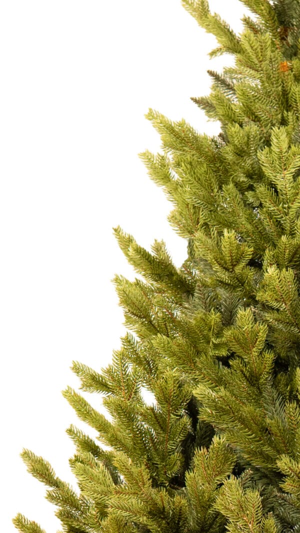 ნაძვის ხე "ნარნარი" 220სმ - "Winter Time • ვინთერ თაიმი"