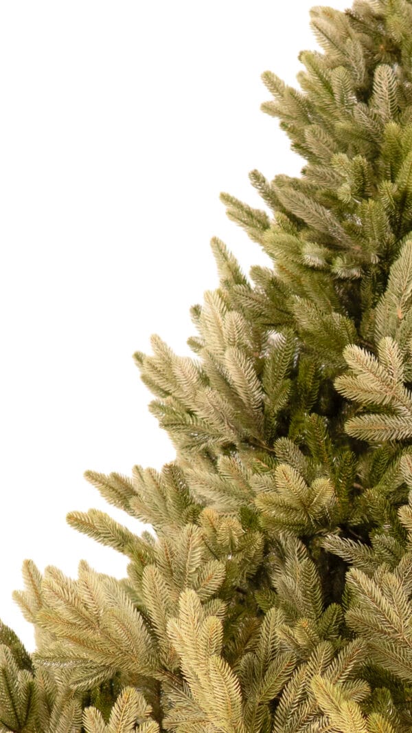 ნაძვის ხე "პუნგია" 220სმ - "Winter Time • ვინთერ თაიმი"