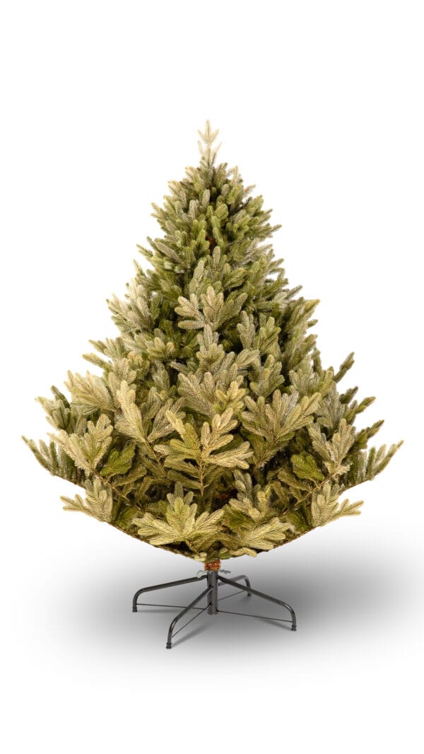 ნაძვის ხე "პუნგია" 220სმ - "Winter Time • ვინთერ თაიმი"