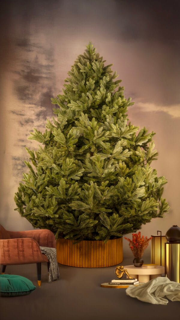 ნაძვის ხე "პუნგია" 280სმ - "Winter Time • ვინთერ თაიმი"