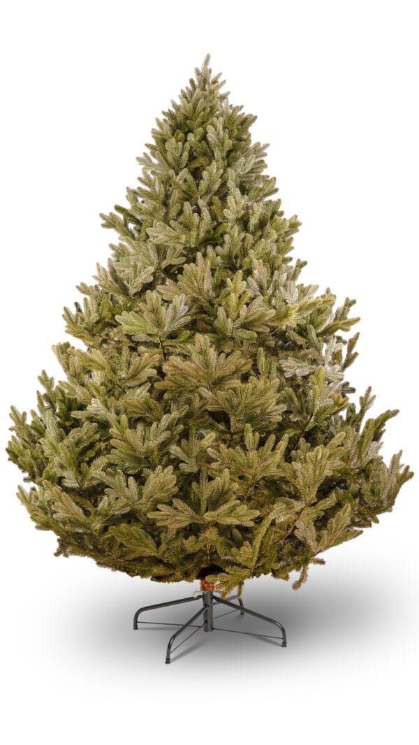 ნაძვის ხე "პუნგია" 280სმ - "Winter Time • ვინთერ თაიმი"