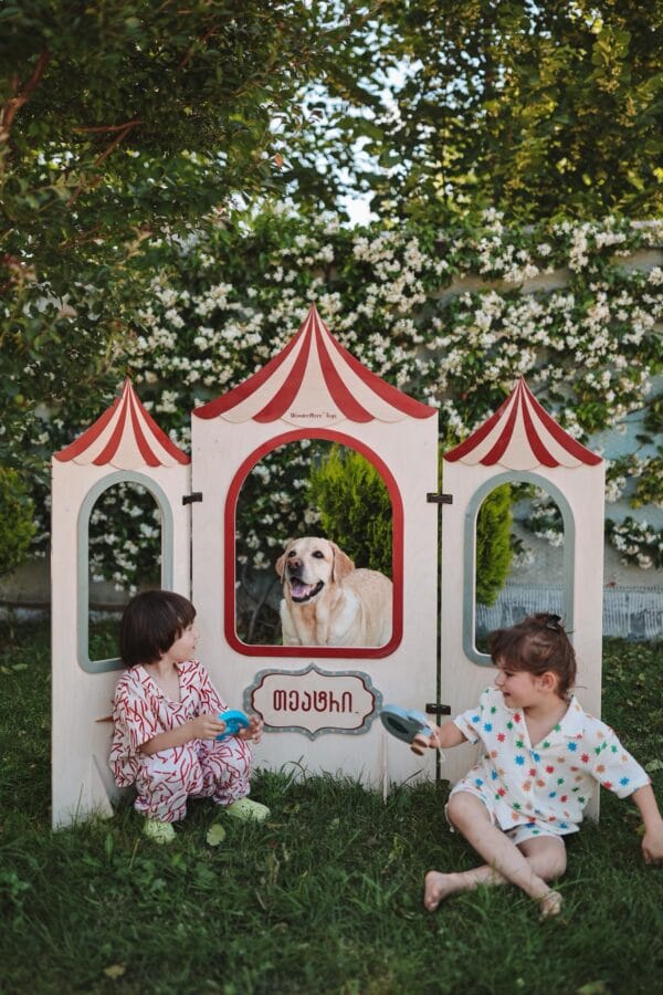 თოჯინების თეატრი - "WonderMore Toys • ვანდერმორ თოიზ"