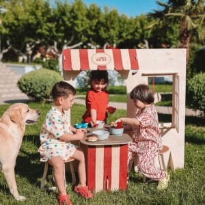 საბავშვო კაფე - "WonderMore Toys • ვანდერმორ თოიზ"