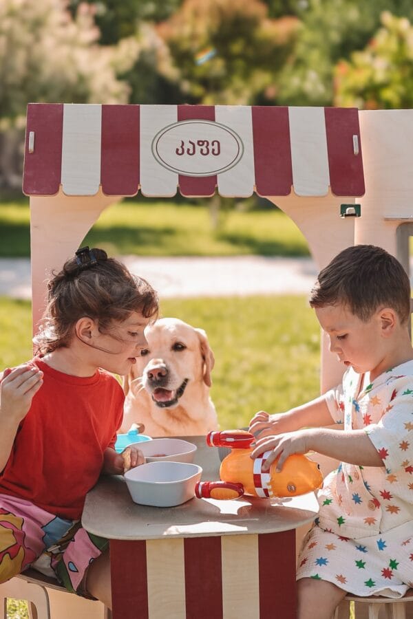 საბავშვო კაფე - "WonderMore Toys • ვანდერმორ თოიზ"