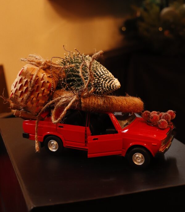 ახალი წლის დეკორაცია, მანქანა - "Papavero • პაპავერო"