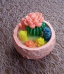 სანთელი კაქტუსით თაბაშირში - "ანანკე• Ananke"