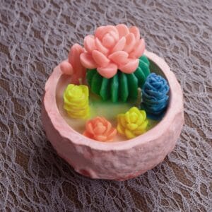 სანთელი კაქტუსით თაბაშირში - "ანანკე• Ananke"